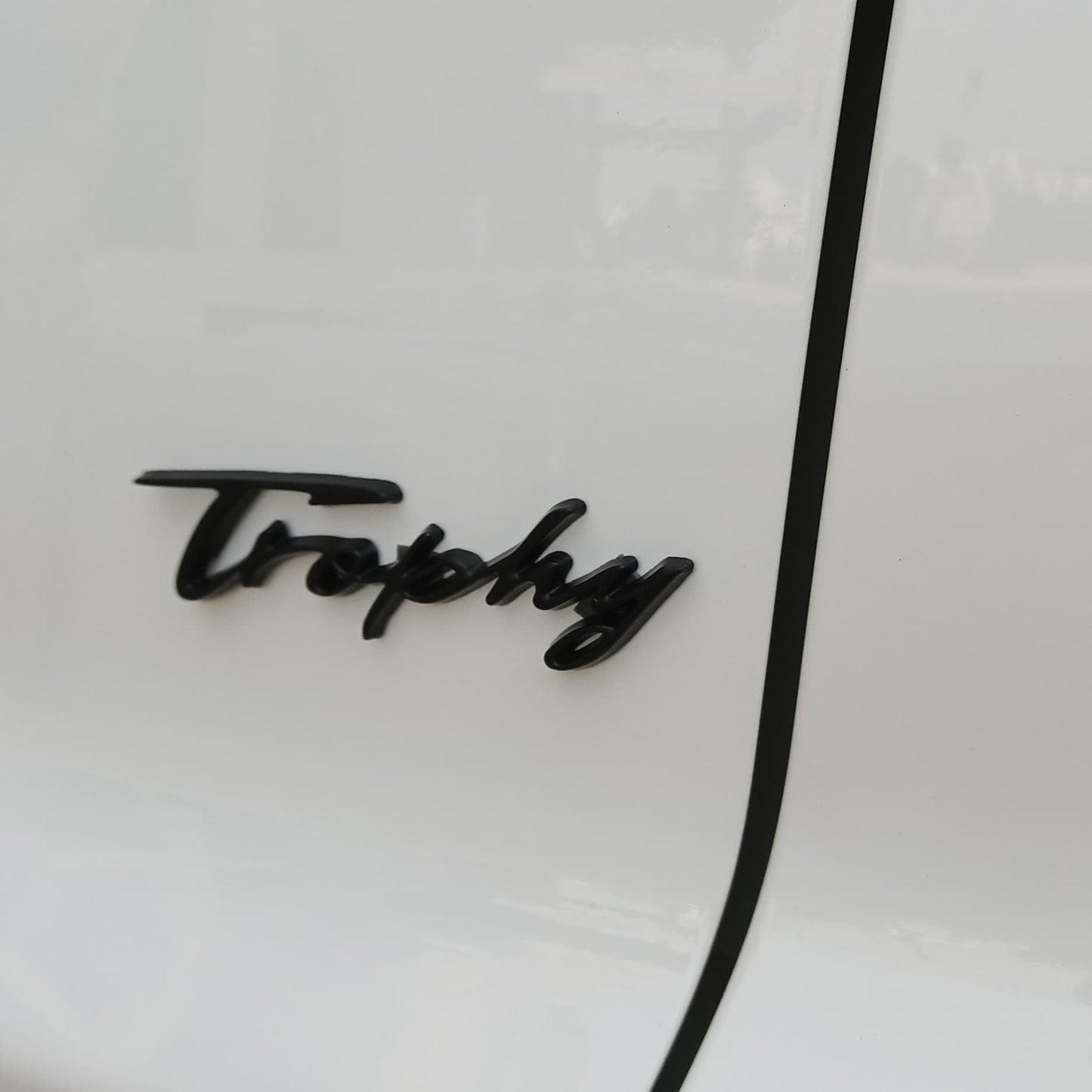 HS - Trophy Logo - 559