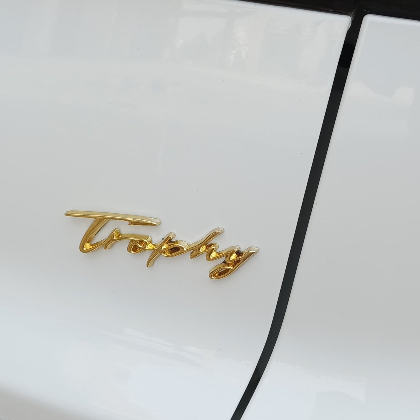 HS - Trophy Logo - 561