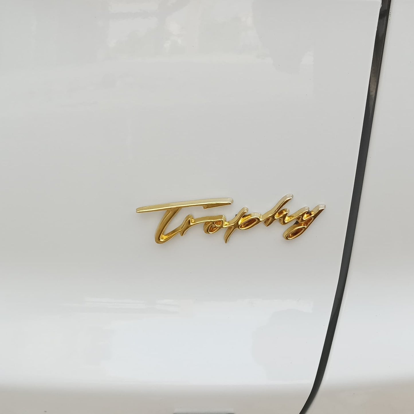 HS - Trophy Logo - 561