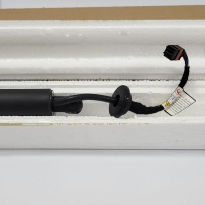 Proton X70 - Trunk Hydraulic 6600142295 RIGHT - 1088