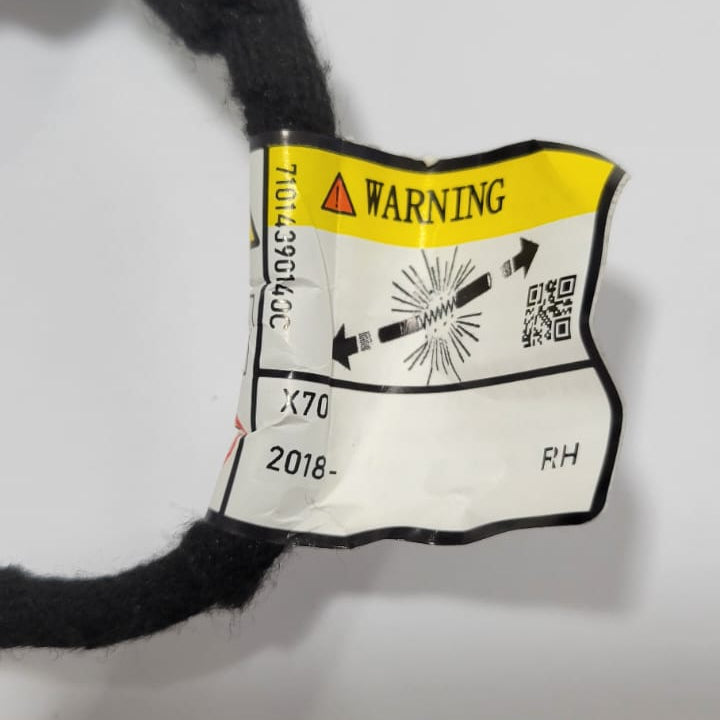 Proton X70 - Trunk Hydraulic 6600142295 RIGHT - 1088