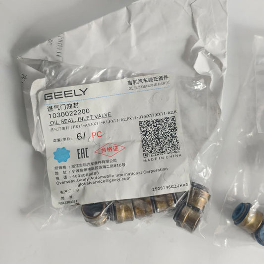 Proton X70 - Oil Seal Intake & Exhaust - 1290