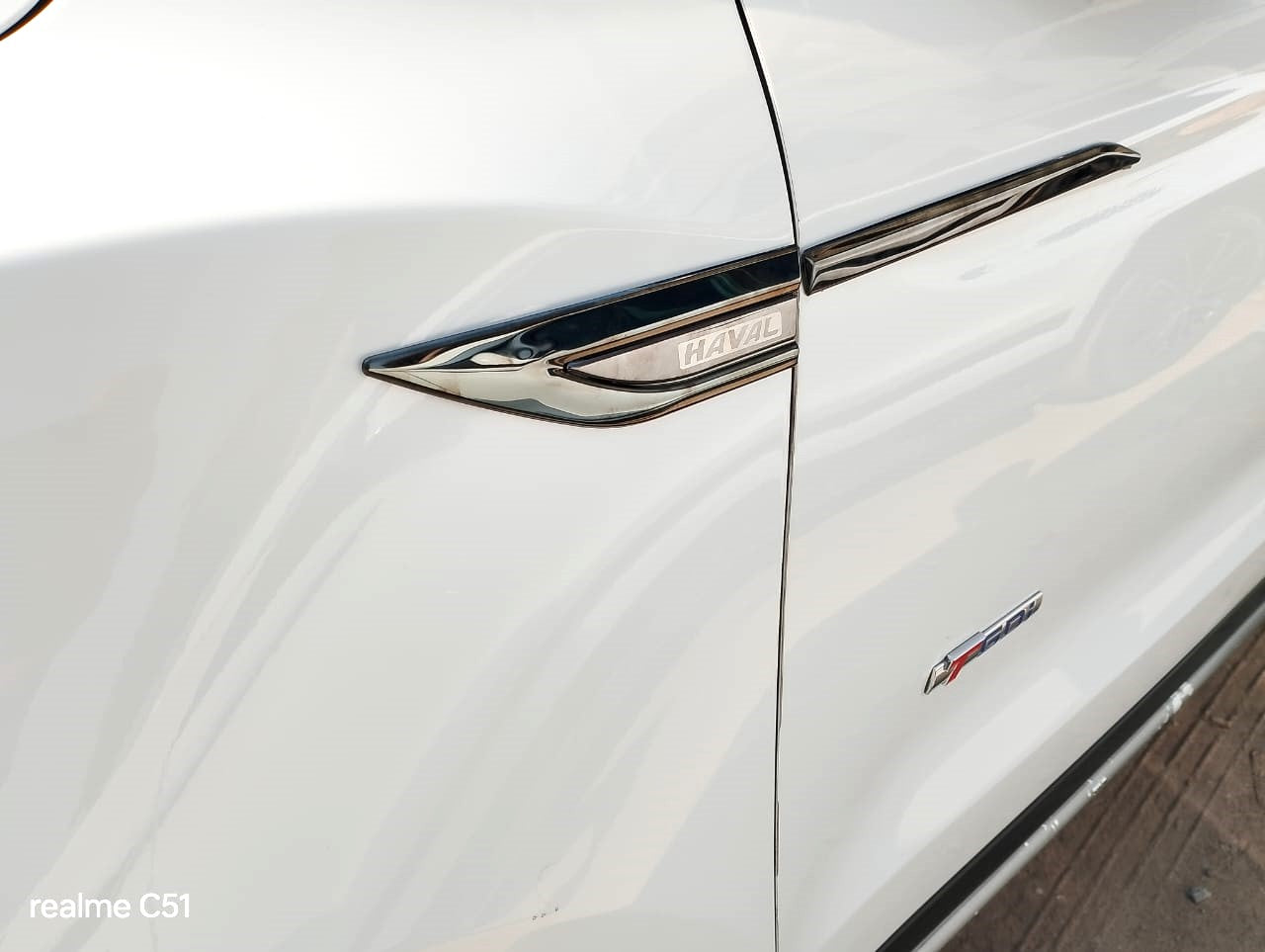 HAVAL - Fender Leaf Decoration Trim - 438