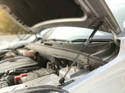 Tiggo 4 - Bonnet Hydraulics Set - 813