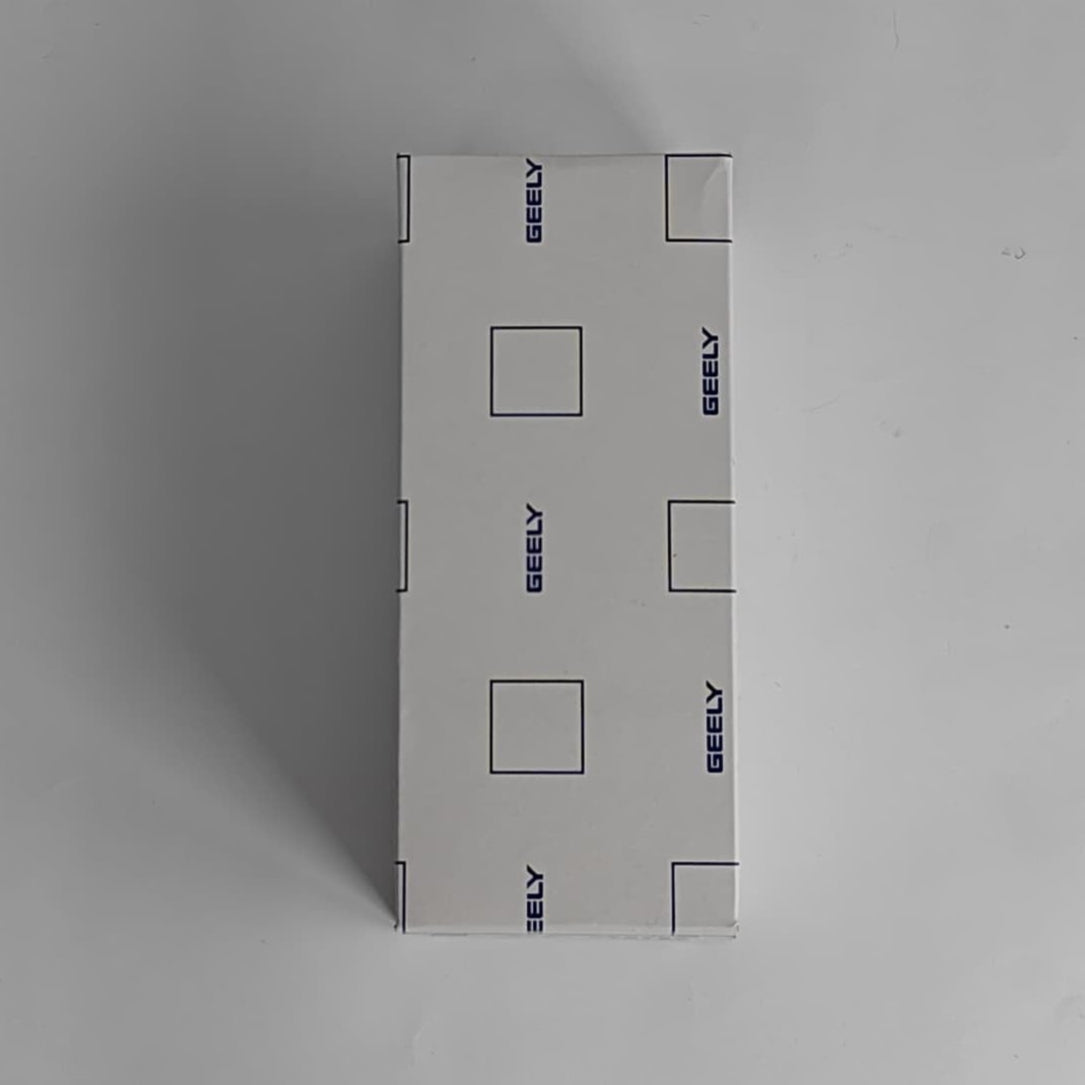 Proton X70 - Fuel Filter - 979